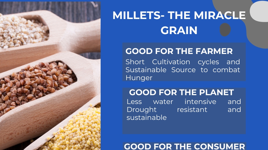 The Nutritional Powerhouse and Environmental Savior: Millets