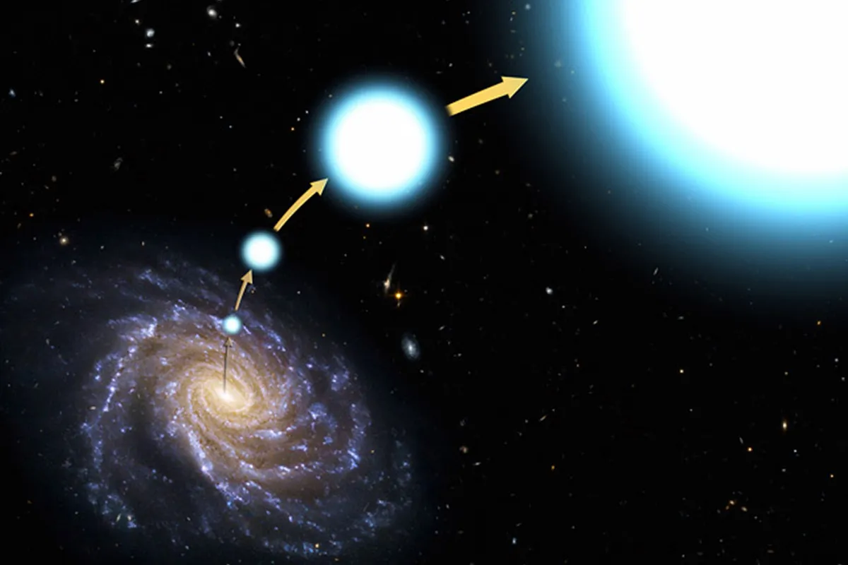 Do rogue stars roam in between galaxies?