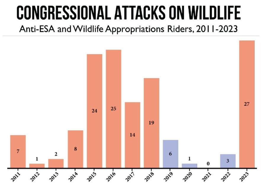 Report: Republican-led Spending Bills Contain Historic Number of Attacks on Wildlife, Endangered Species