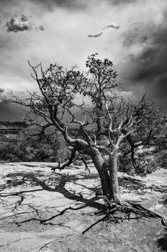 Revisiting Black And White