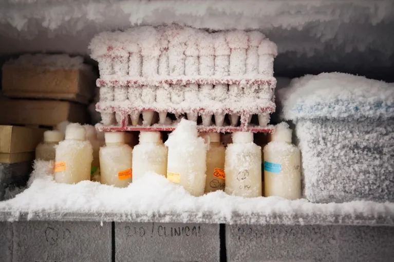 Close up view of a shelf of a freezer filled with bottles, test tubes in racks and boxes covered in a thick layer of frost