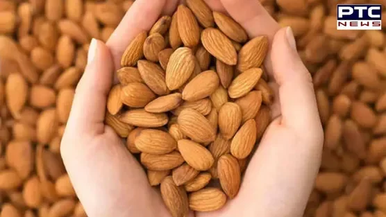 almonds (1).jpg