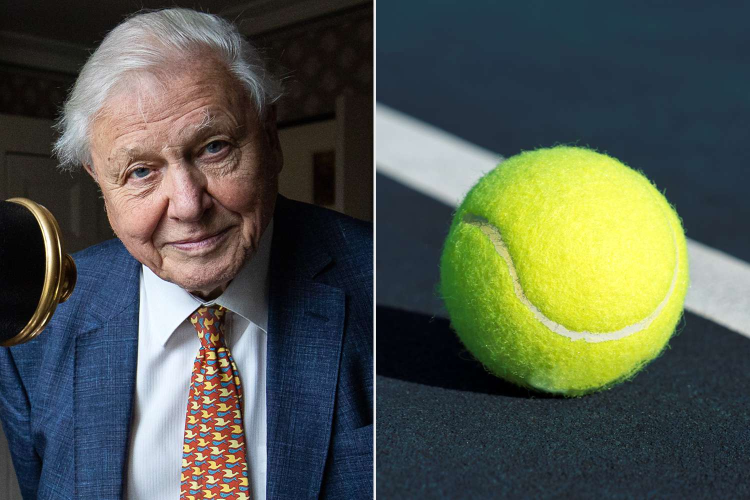 Tennis Balls Are Bright Yellow Thanks, in Part, to Sir David Attenborough