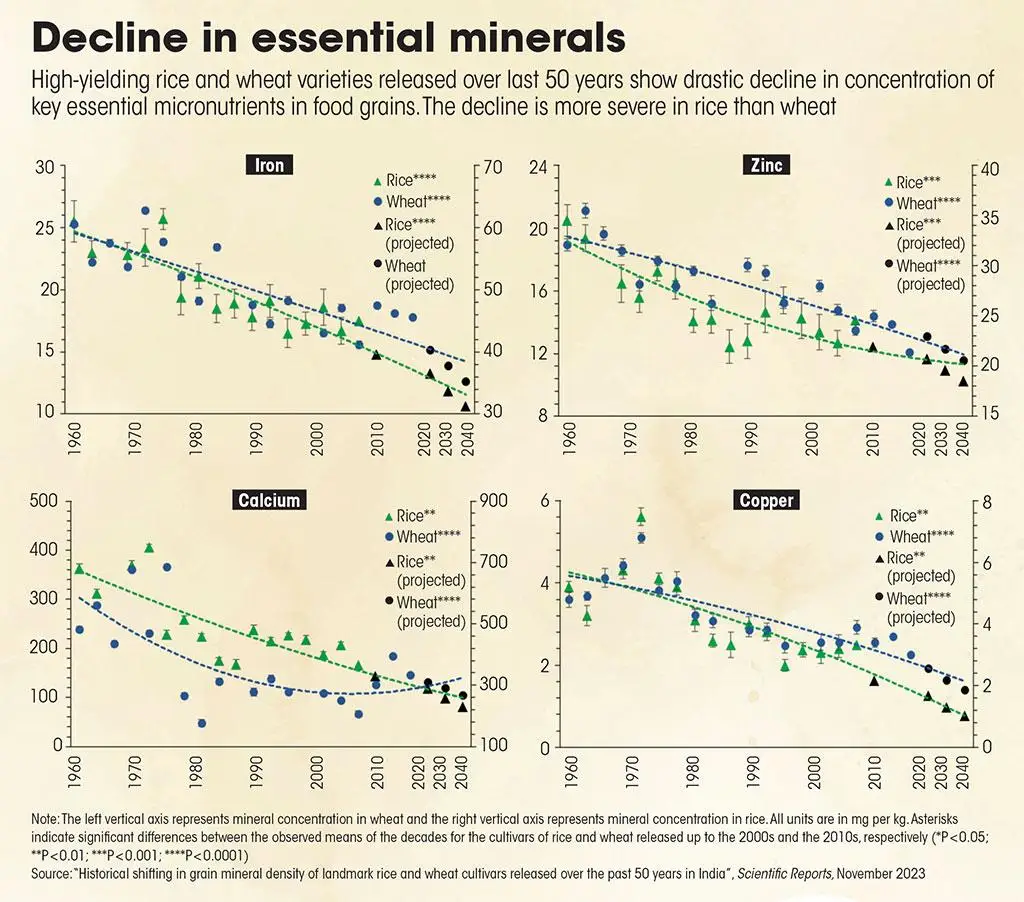 Source: “Historical shifting in grain mineral density of landmark rice and wheat cultivars released over the past 50 years in India”, Scientific Reports, November 2023