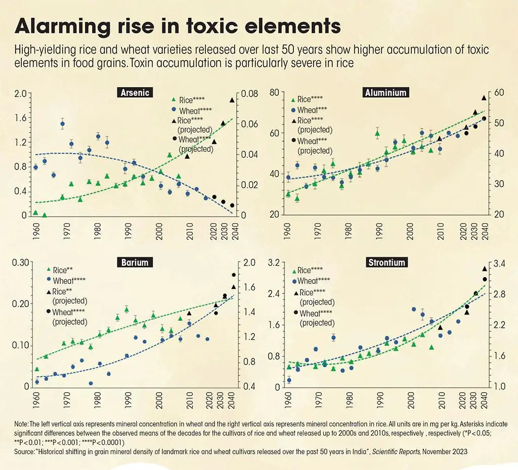 Source: “Historical shifting in grain mineral density of landmark rice and wheat cultivars released over the past 50 years in India”, Scientific Reports, November 2023