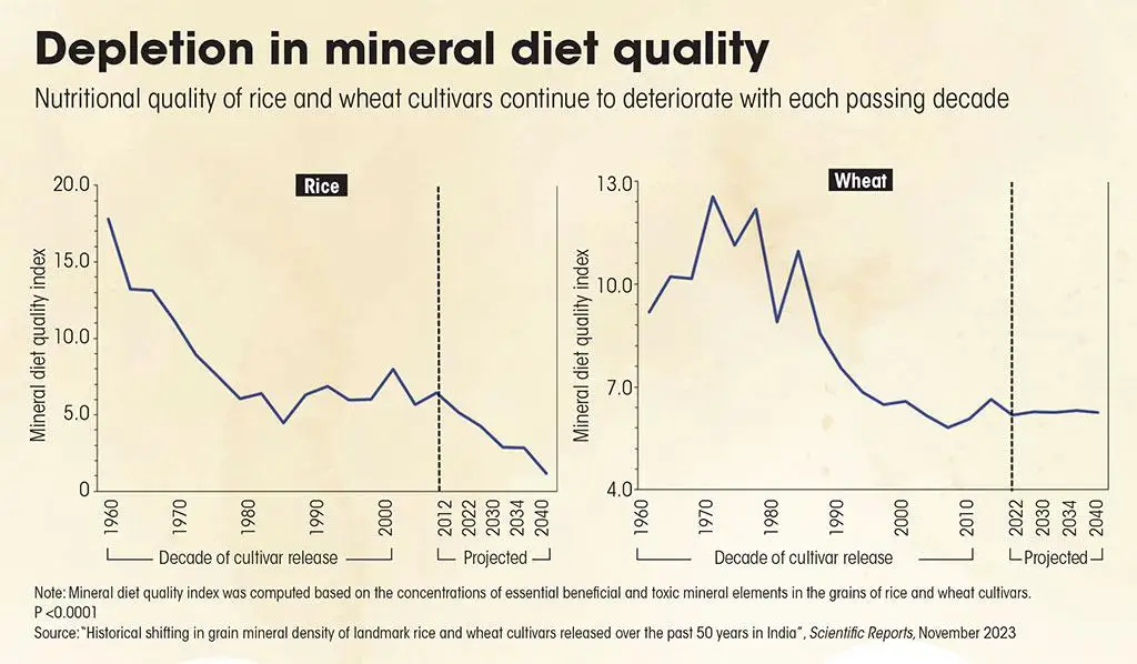 Source: “Historical shifting in grain mineral density of landmark rice and wheat cultivars released over the past 50 years in India”, Scientific Reports, November 2023