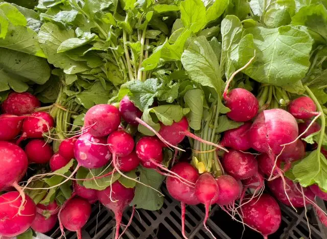 Radishes