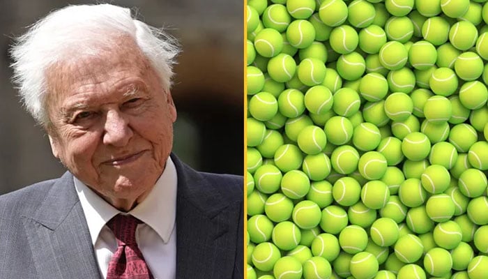 Why are tennis balls yellow and what has Sir Attenborough got to do with it?