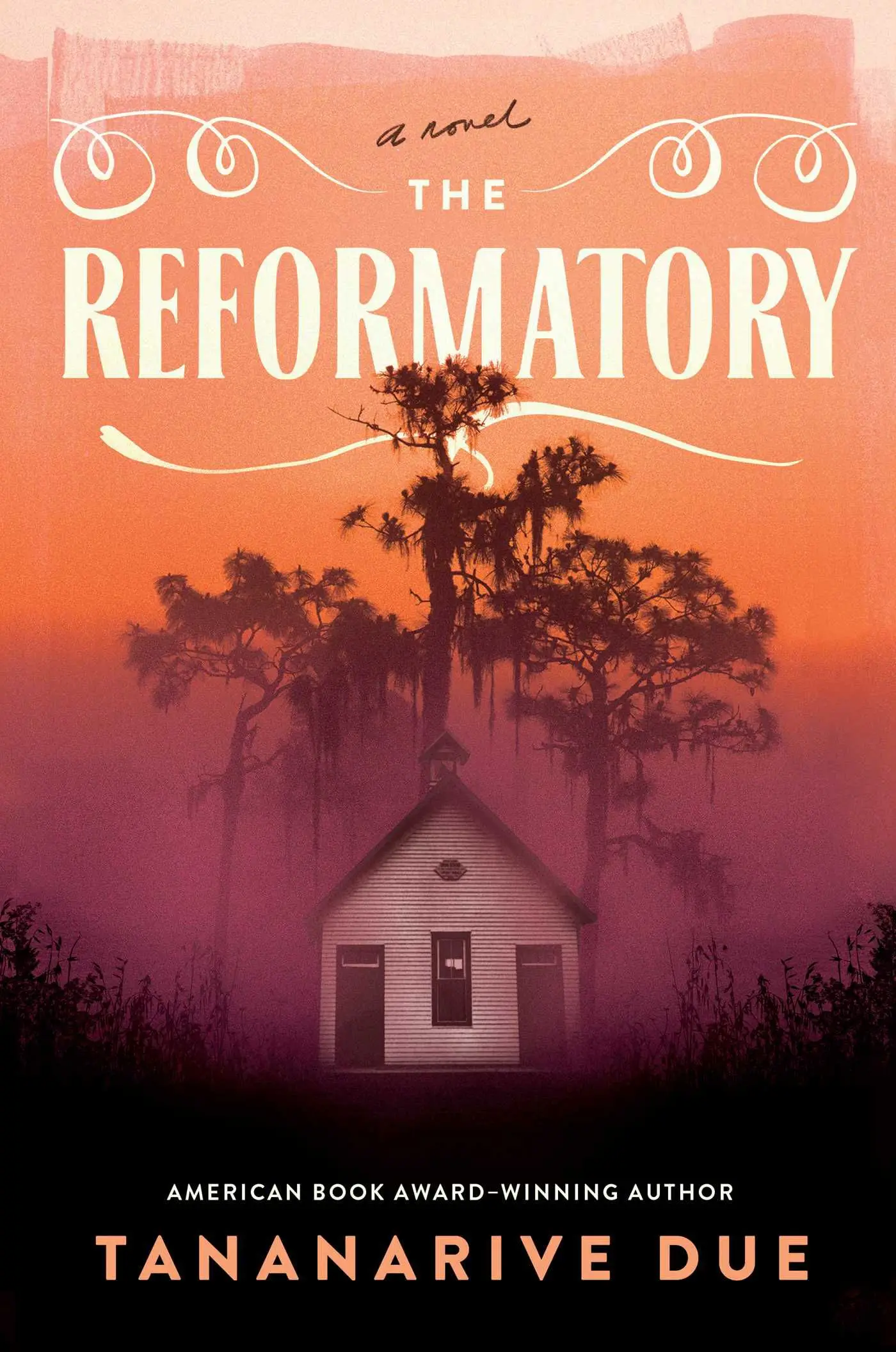 cover of The Reformatory by Tananarive Due