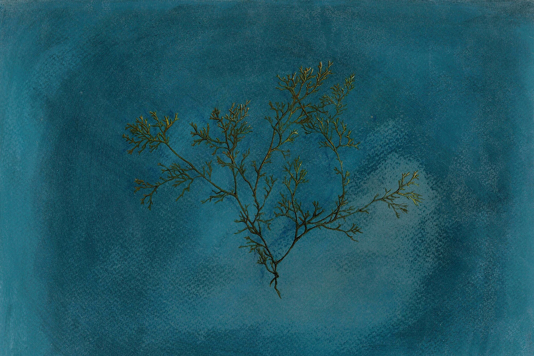 FSU Museum of Fine Arts brings Irish contemporary art to Tallahassee – Florida State University News