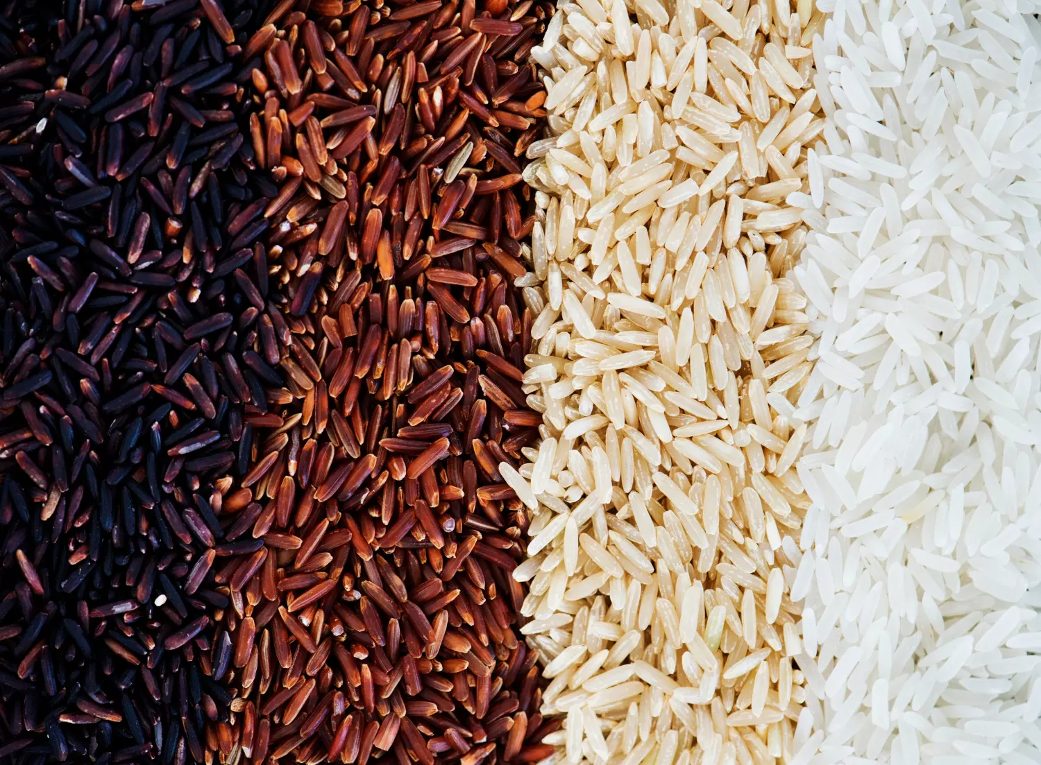 Rice and wheat consumed in India may have low nutrition