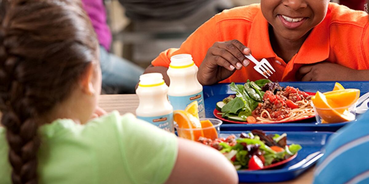 Wisconsin DPI seeking sponsors to provide healthy meals to children