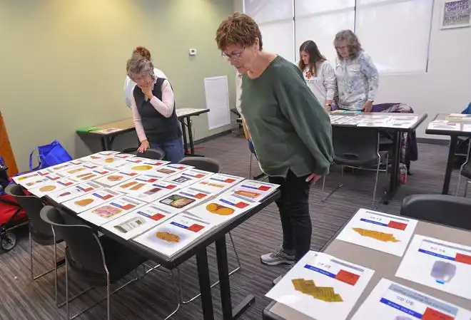 Sandy Hochstetler, left, and Carol Coddington look over five food group items during a Clemson SNAP-ED program food group shopping challenge, at the Cooking Matters! class, teaching nutrition and recipes in a class at Belton Library Tuesday, January 23, 2024. The cooking educational class challenged participants to make a meal plate for less than $10 with five different food groups, choosing from several food flash cards.