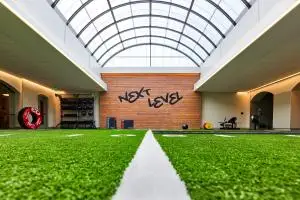 indoor turf grass