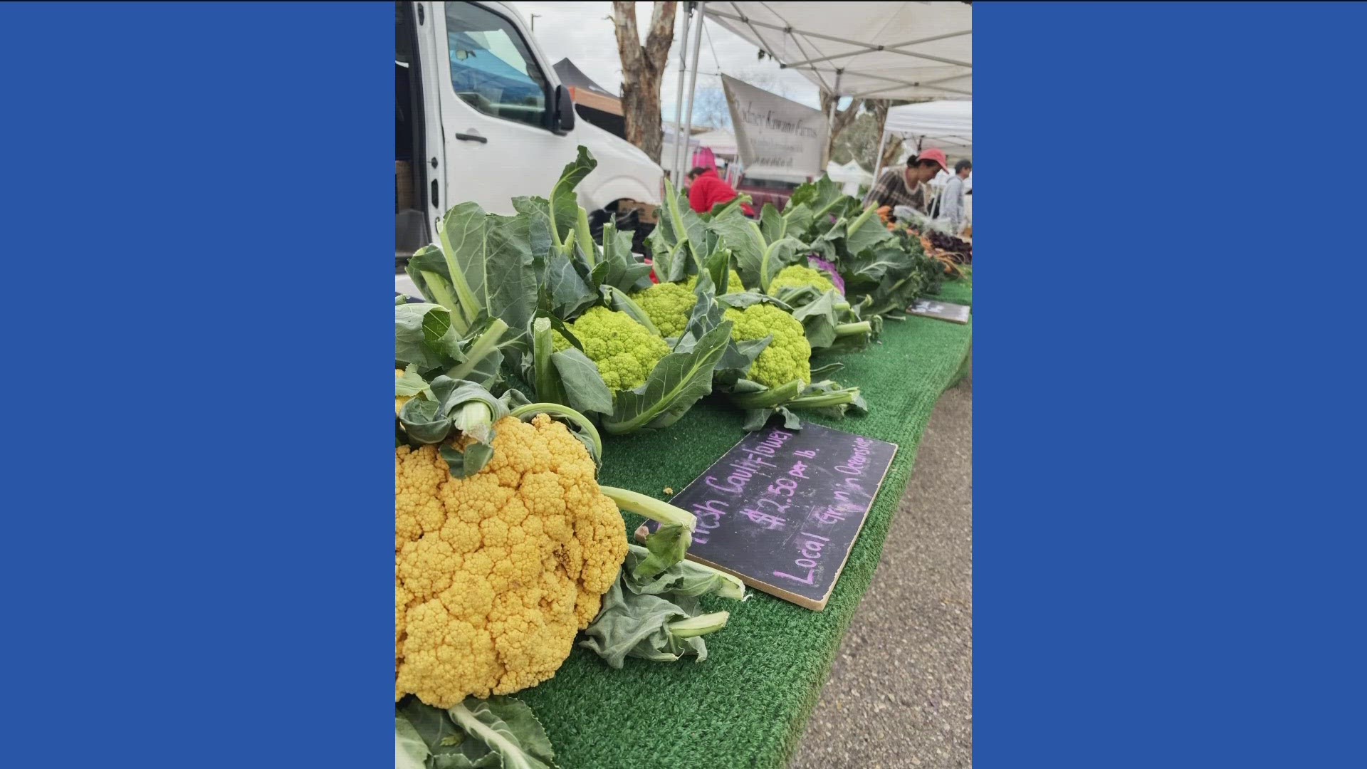 Cardiff Farmer’s Market offering Nutritional Tours