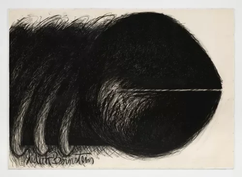 Judith BernsteinHorizontal, 1973 charcoal on paper 108 x 150 inches 274.3 x 381 cm Copyright The Artist