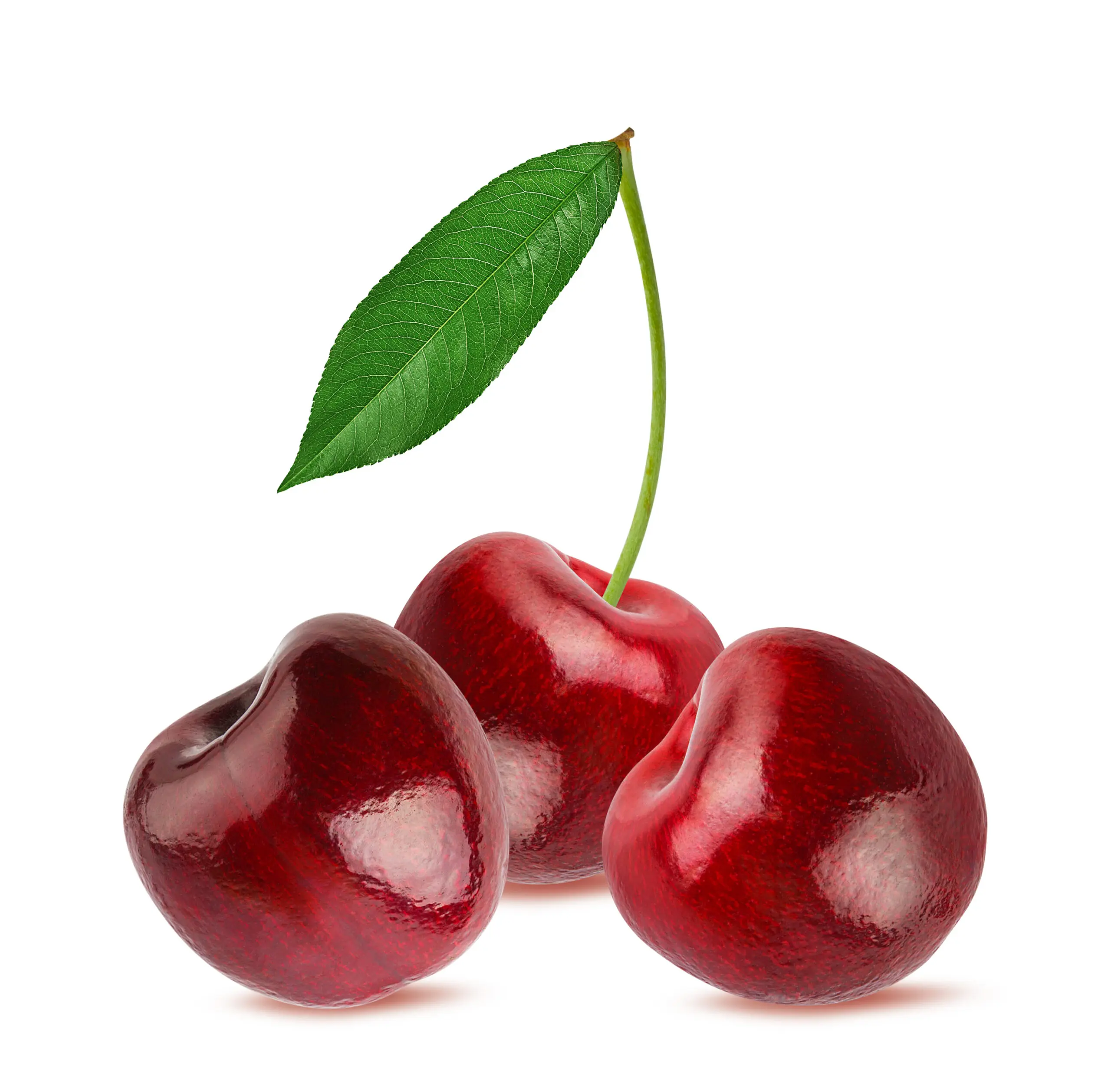 Cherries are very good for our gut health and immunity