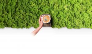 Redefining Home Decor: BioDisplay™ Integrates Nature into Everyday Living