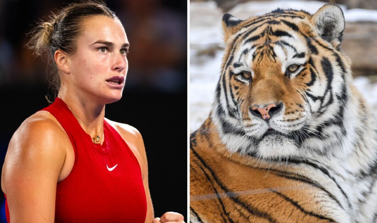 Australian Open star compared to an angry tiger and has won over tough crowd