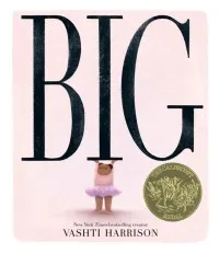 Cover of Big