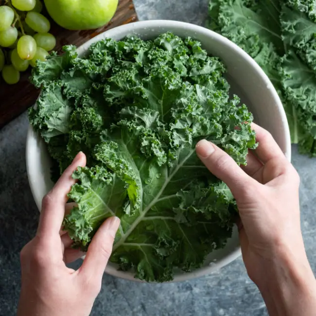 person massaging kale