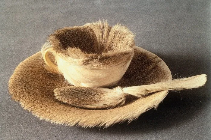 A furry cup, saucer and teaspoon