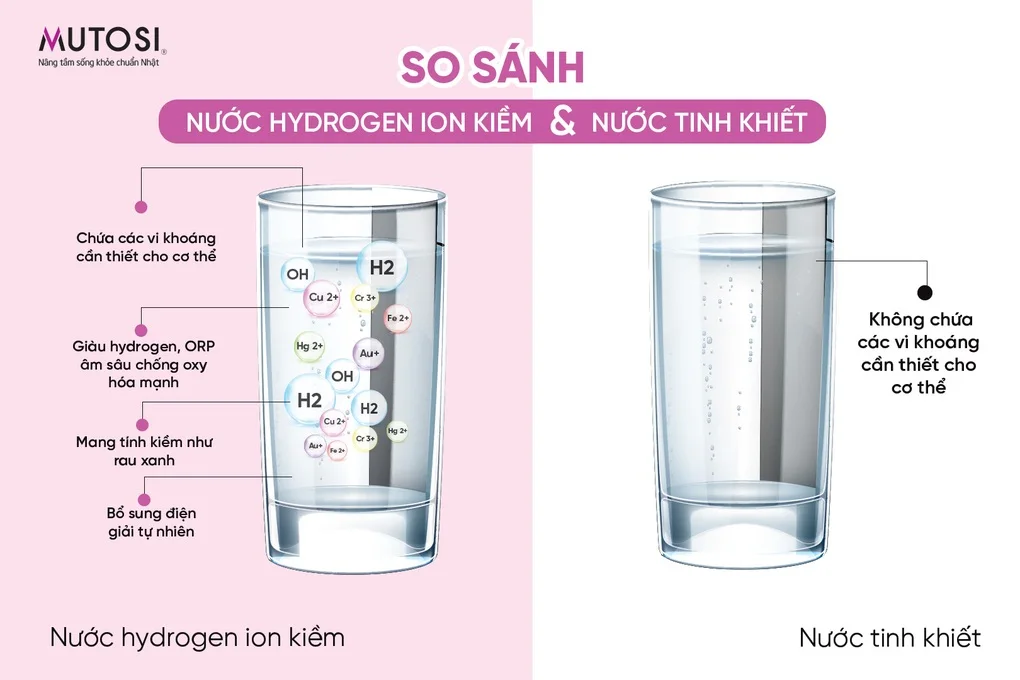 Bài toán sức khỏe và giải pháp từ nước ion kiềm hydrogen - 2