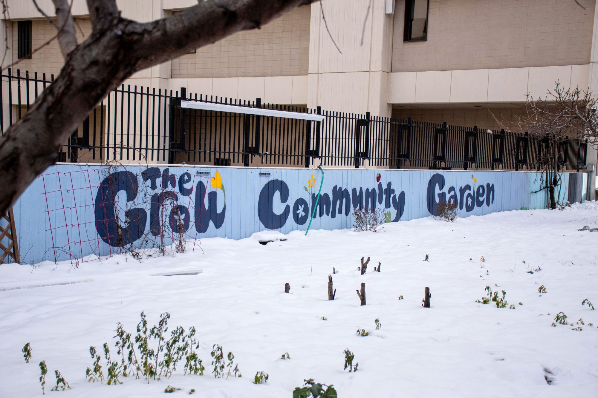 Researchers link school garden participation with healthier eating habits