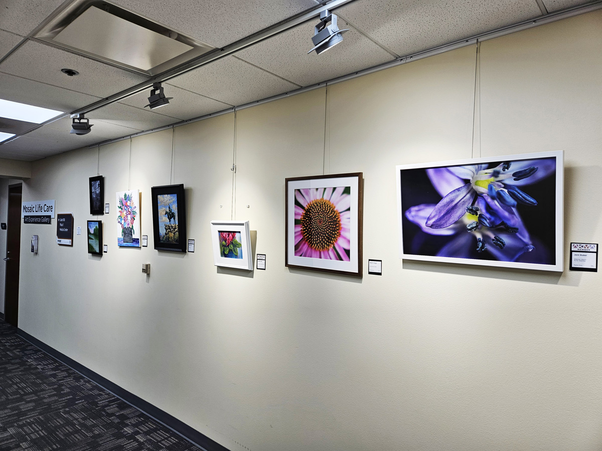 Art Partnership Provides Benefits to Both Artists and Patients
