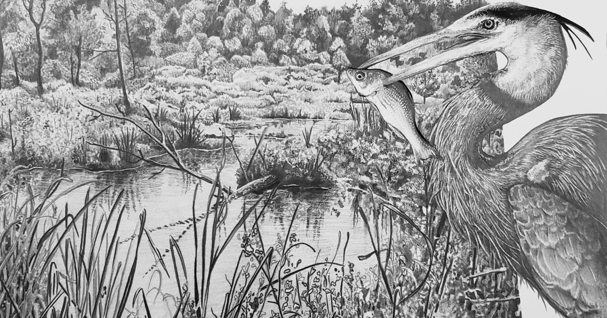 WARREN: Catch some inspiration at Crary Art Gallery