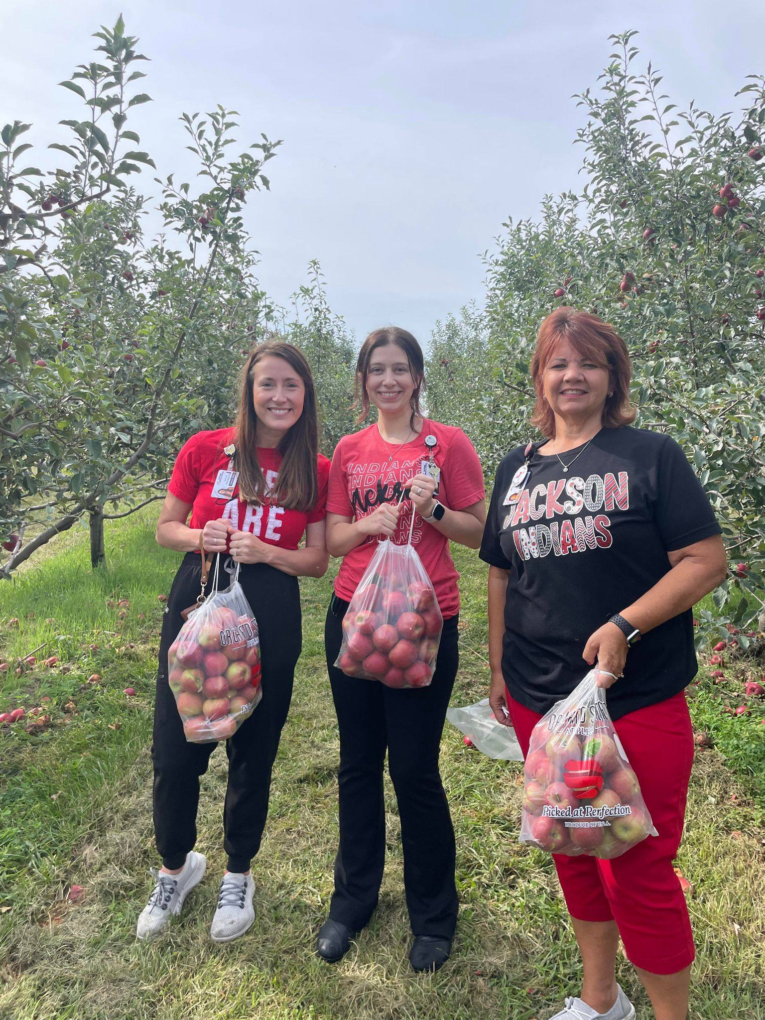 Jackson R-2 Food & Nutrition Services awarded grant – KBSI Fox 23 Cape Girardeau News