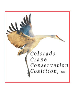 Deadline approaching for crane-inspired creative arts scholarship contest