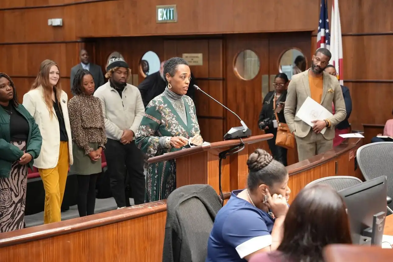 Salaam Green addresses the Birmingham City Council