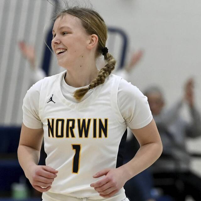 ‘We want it’: Norwin girls basketball players excel during small moments in quest for championships