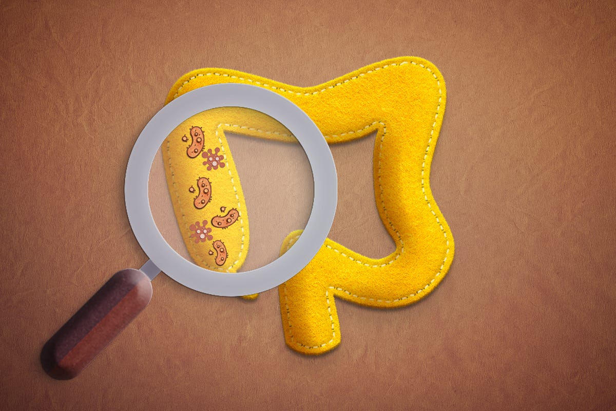 Four Signs You Have an Unhealthy Gut and How to Fix It