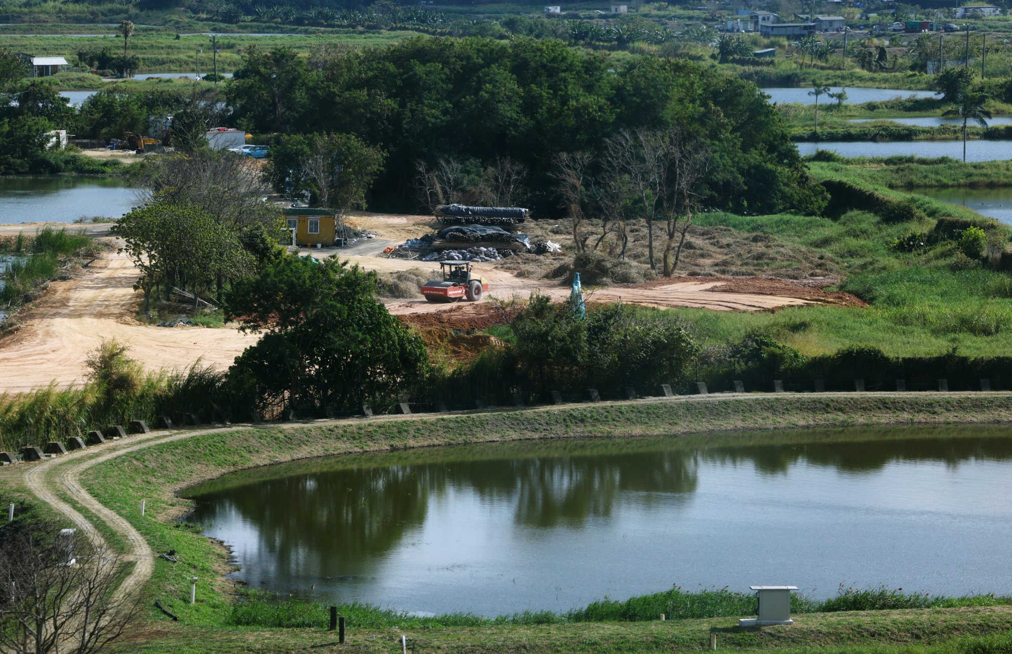 Extensive damage found in Hong Kong wetlands, environmental groups warn