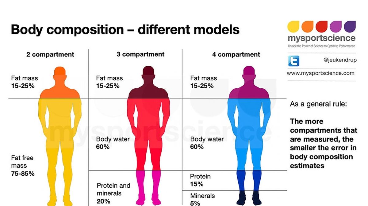 The Scale Tells One Story, Body Composition Tells Another: Unravel…