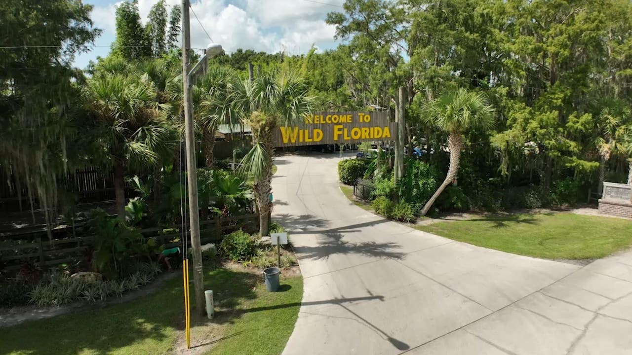 Florida wildlife attraction slapped with $9K penalty after multiple animals escape enclosures