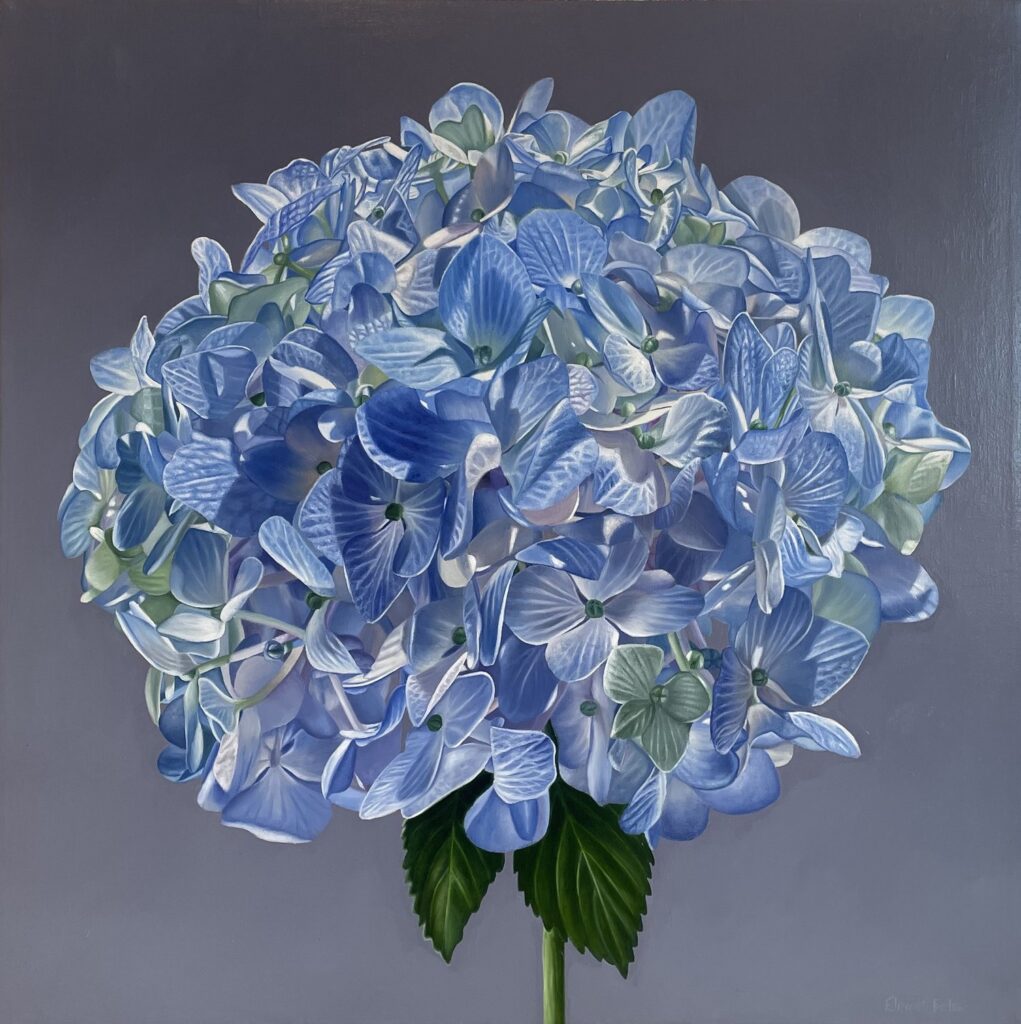 Elizabeth Barlow paints ‘the fierce life force in even the tiniest flower’
