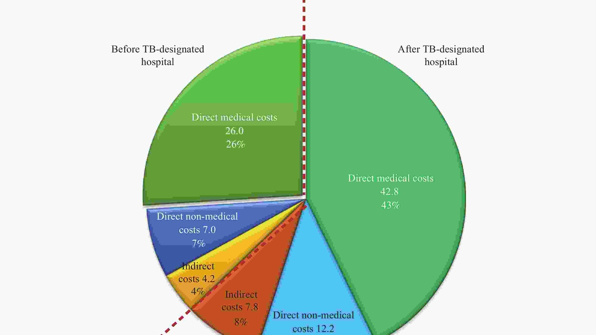 The Importance of Nutrition in Tuberculosis Recovery: A Study in Poverty-Stricken Areas of China