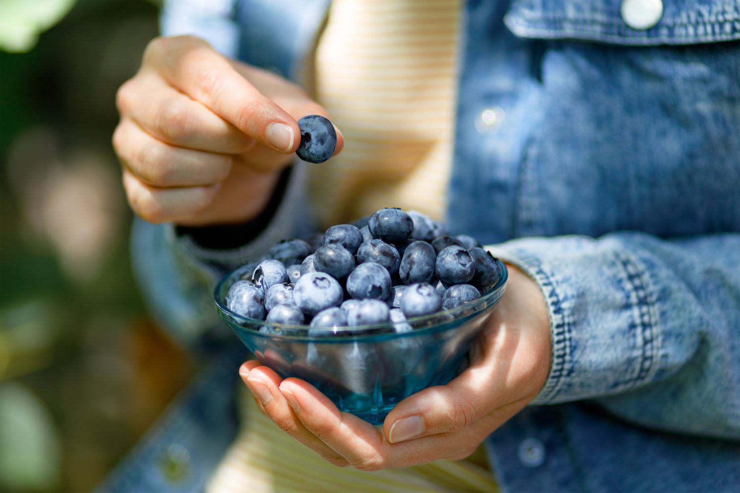 Blueberries: 9 Health Benefits to Know