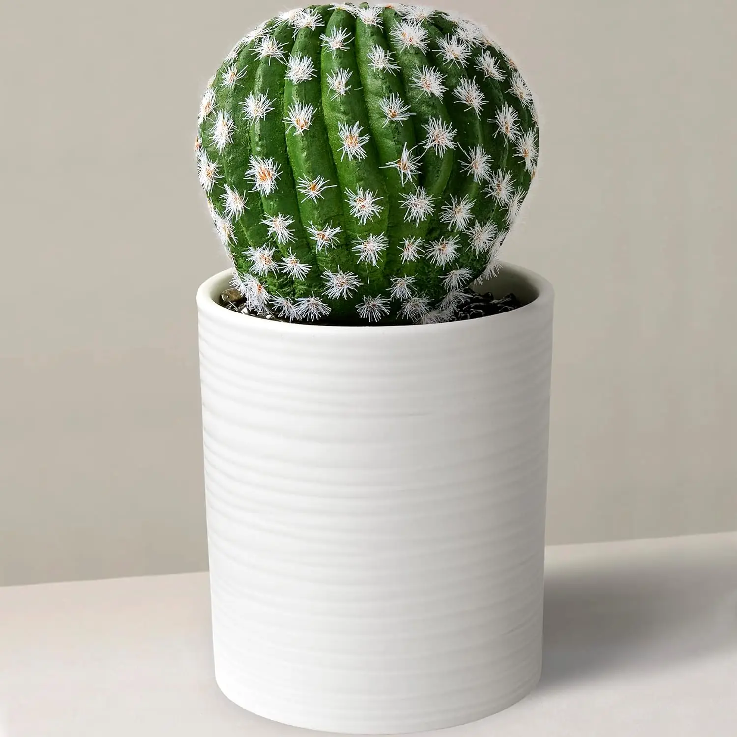 SEEKO Short Round Ball Cactus in Ceramic Pot