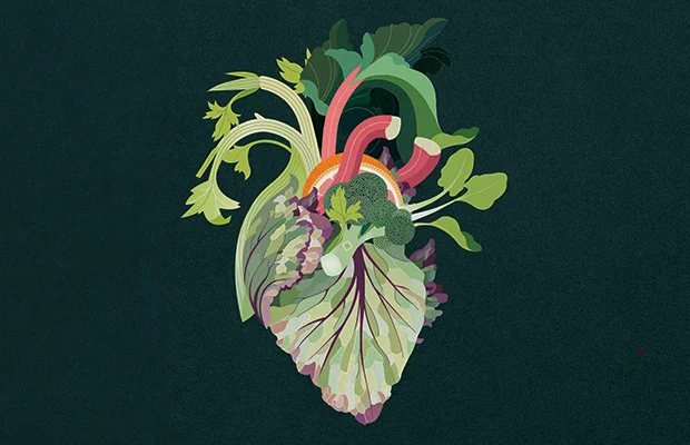 Illustration of leafy green vegetables in the shape of a human heart.