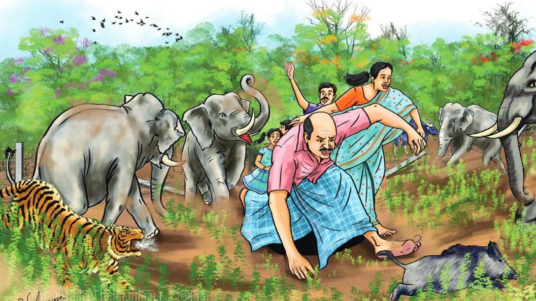 Kerala passes resolution urging Centre to amend wildlife laws as animal attacks rise