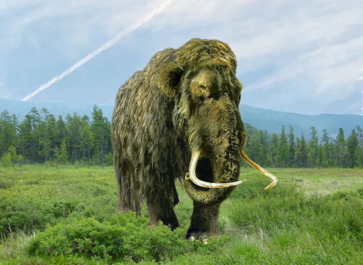 10 Ice Age animals: meet the extraordinary beasts that thrived when the world was frozen