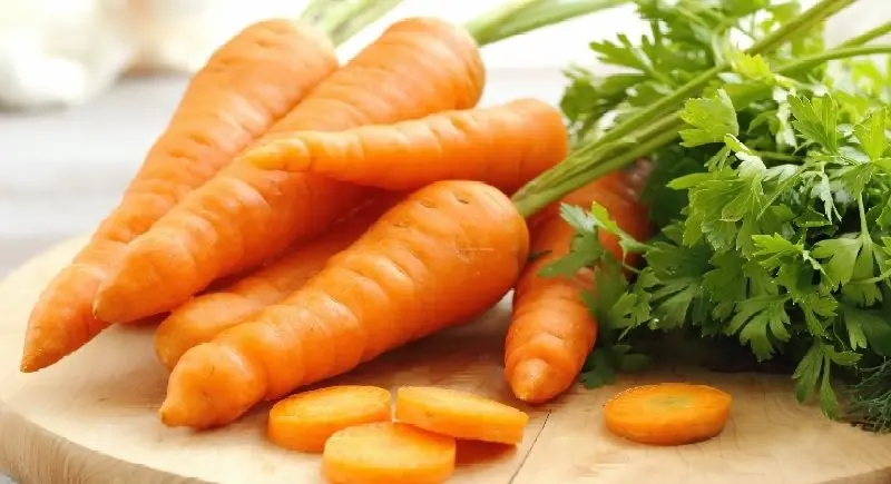 Carrot 