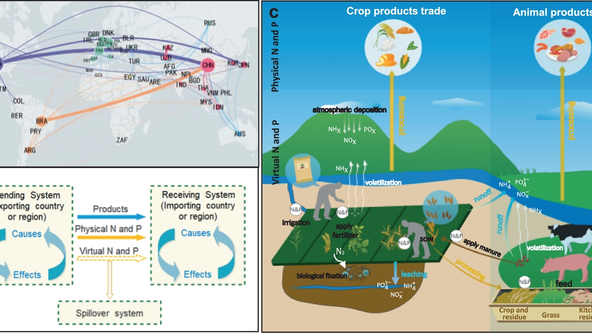 The Global Nutrient Trade: Its Impact and Significance on Population Health