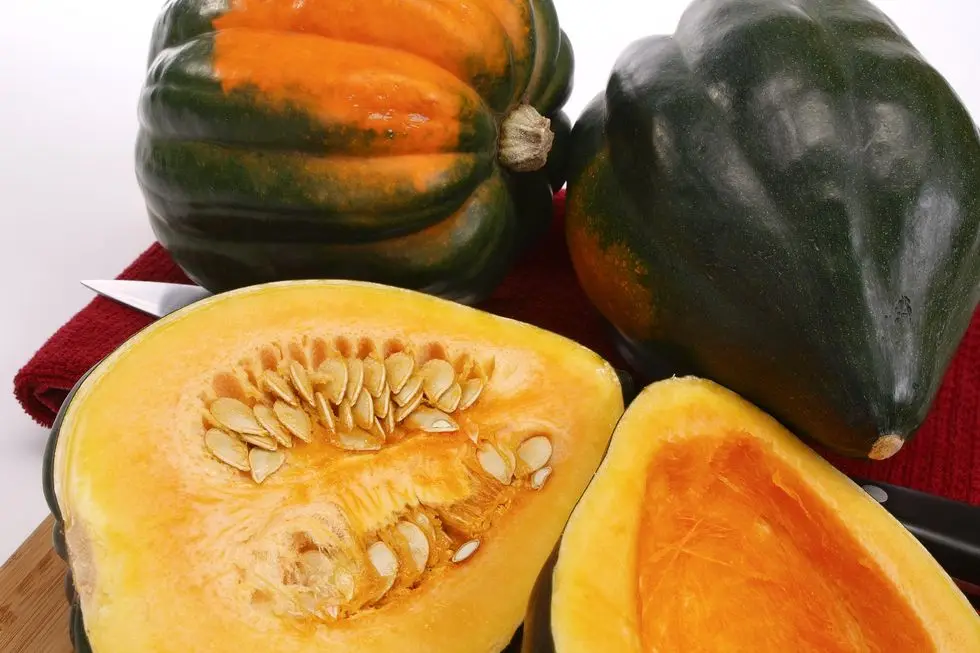 acorn squash