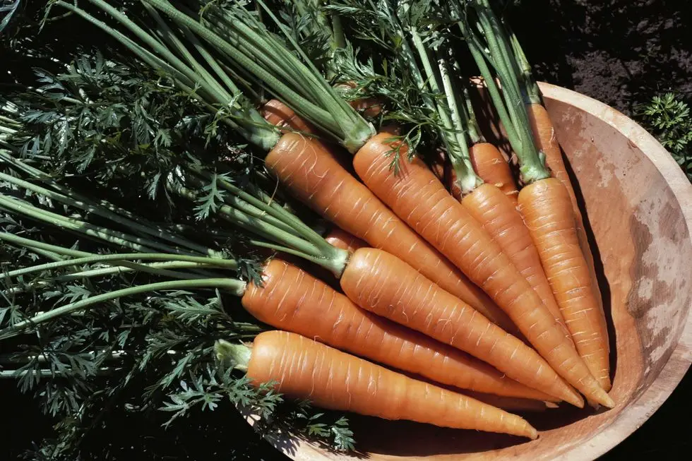 carrots