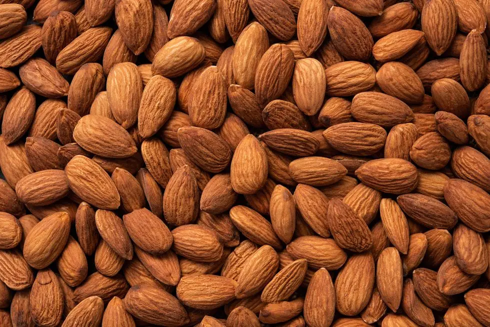 full frame shot of almonds